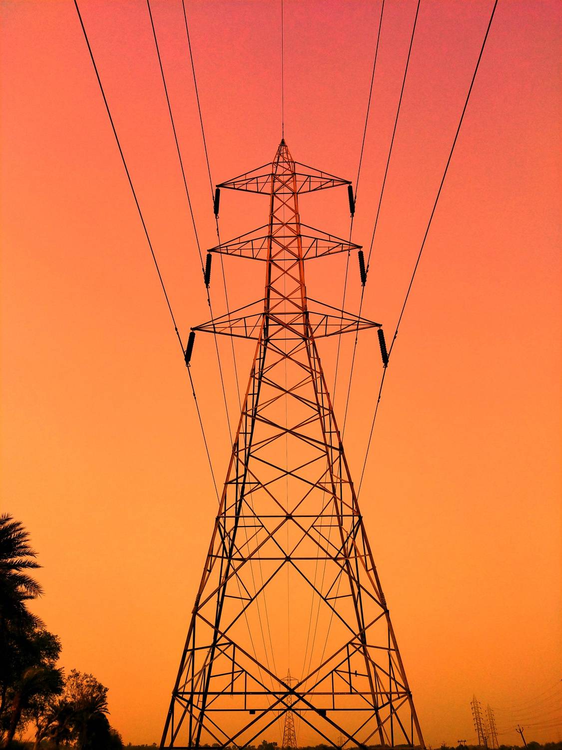 Photo #7454344