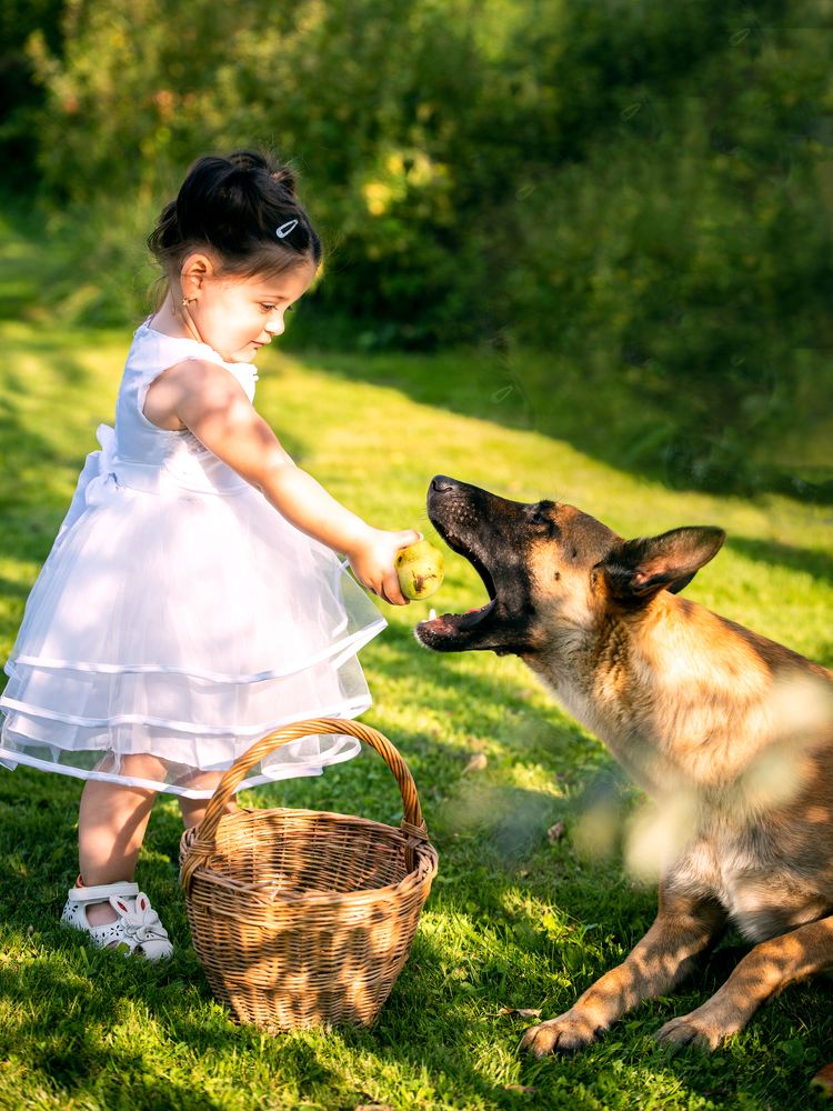 Фотография автора Alena Geršičová