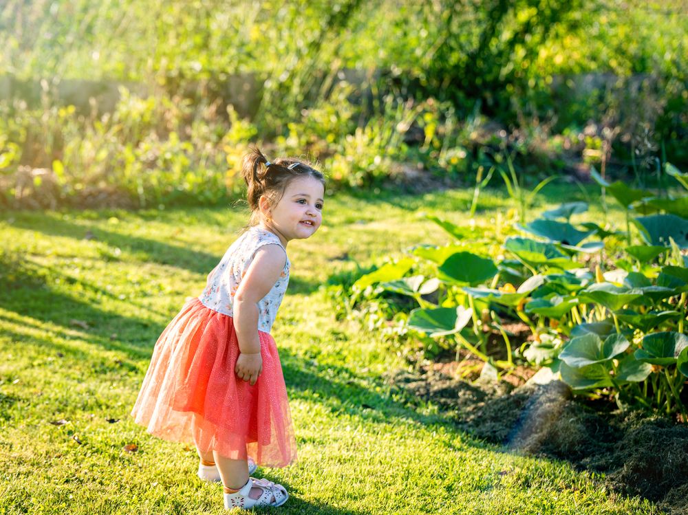 Фотография автора Alena Geršičová