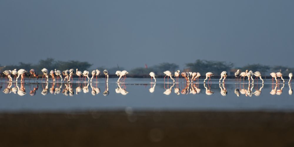 Photograph by Arvindkumar Naicker