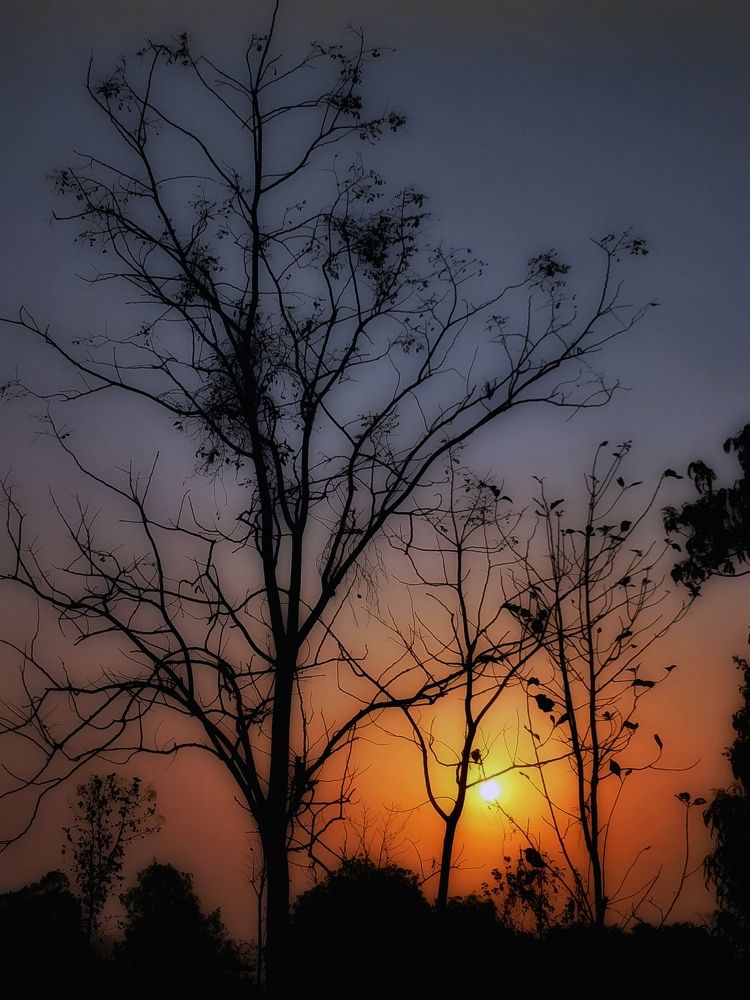 Photograph by Anupam More