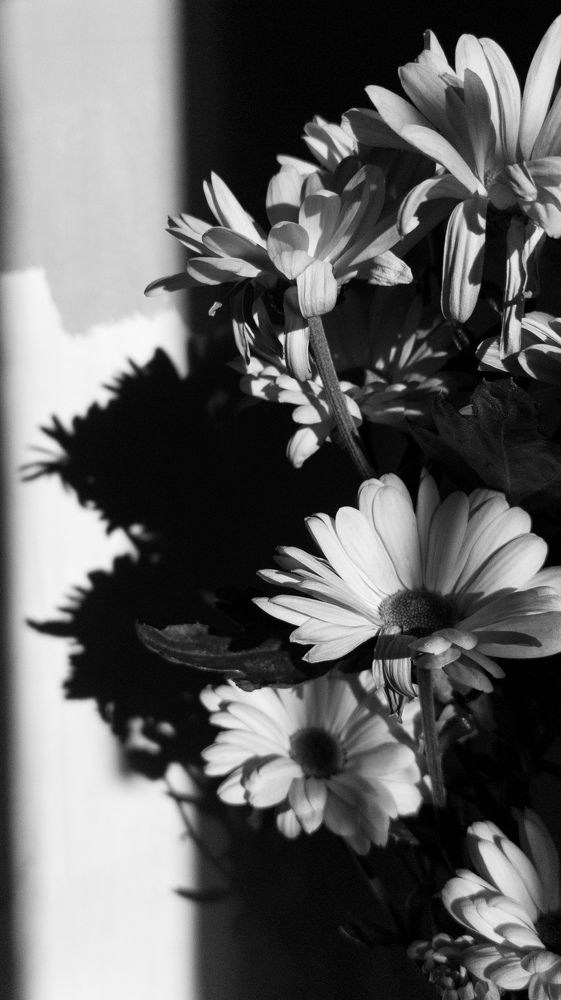 Photograph by Анастасия Семкина