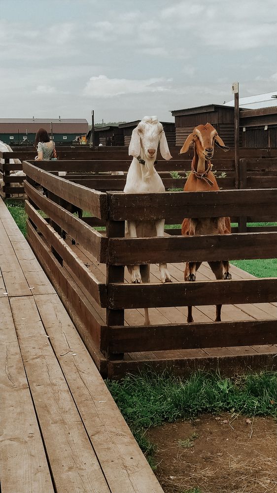 Photograph by Анастасия Семкина