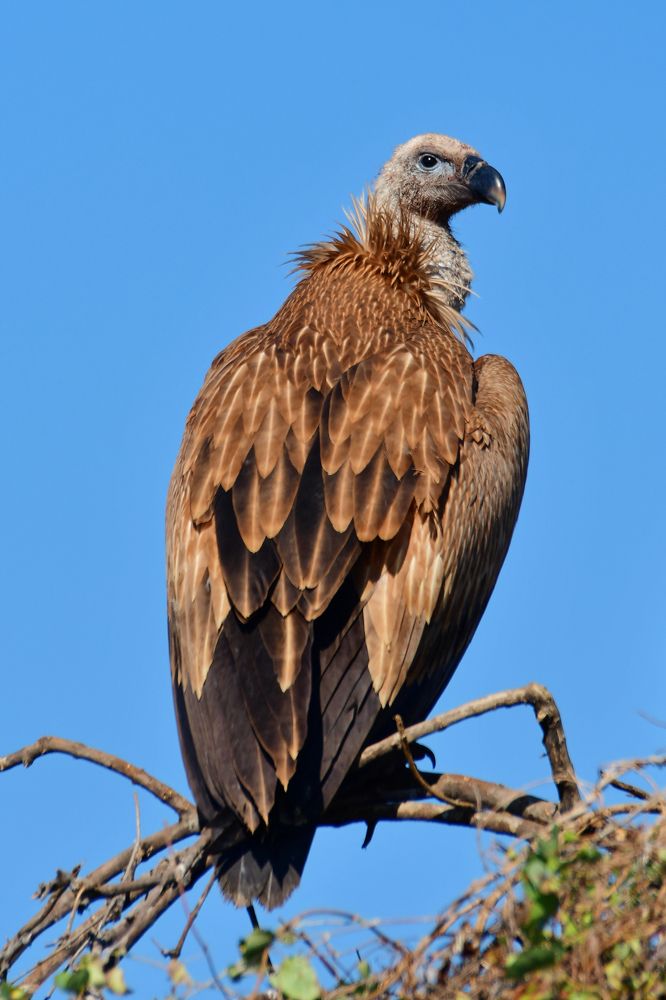 Photograph by Arvindkumar Naicker