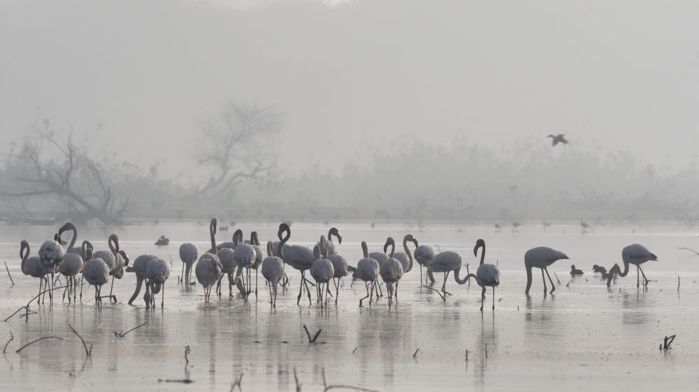 Photograph by Arvindkumar Naicker