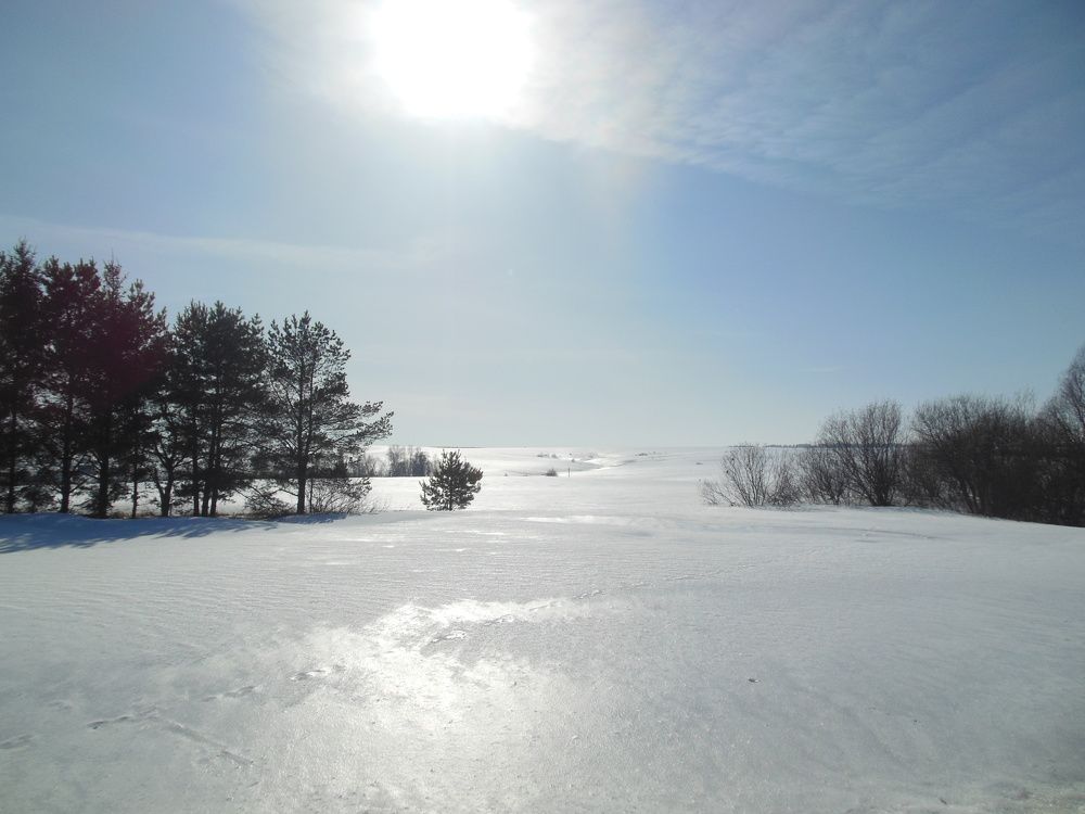 Photograph by Светлана Батурова