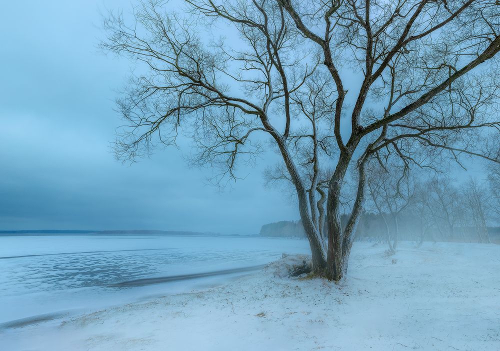 Photograph by Алеся Максименко