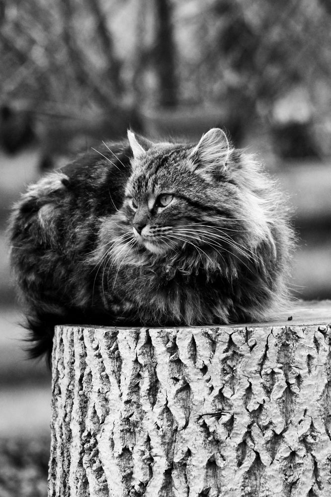 Photograph by Марина Кравцова