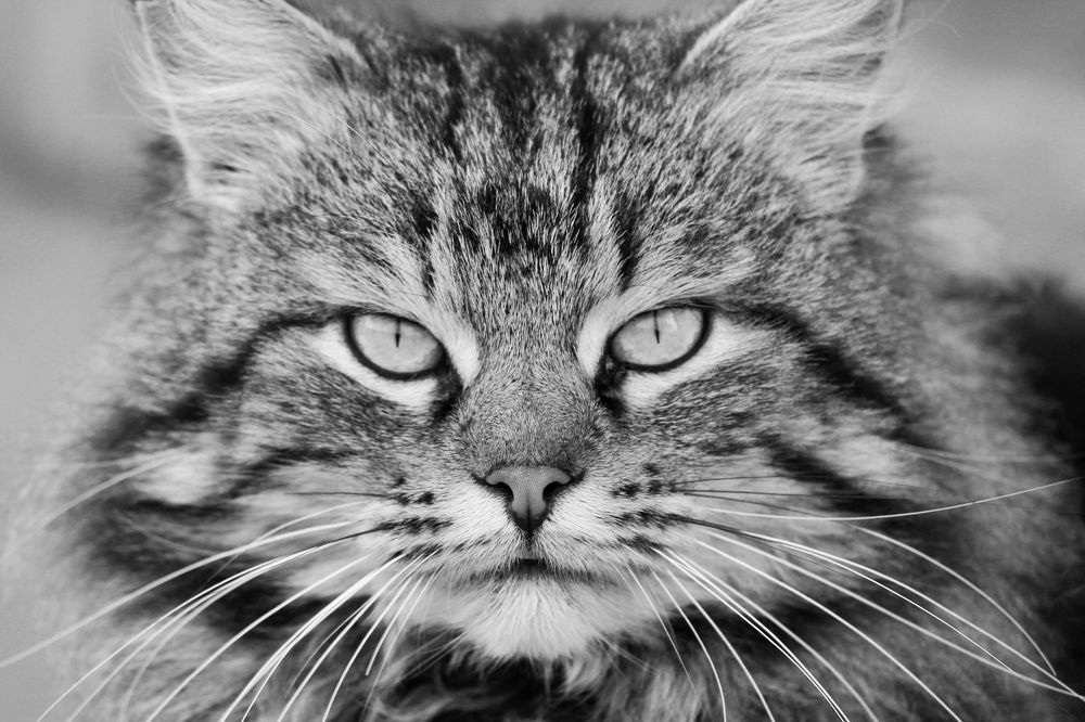 Photograph by Марина Кравцова