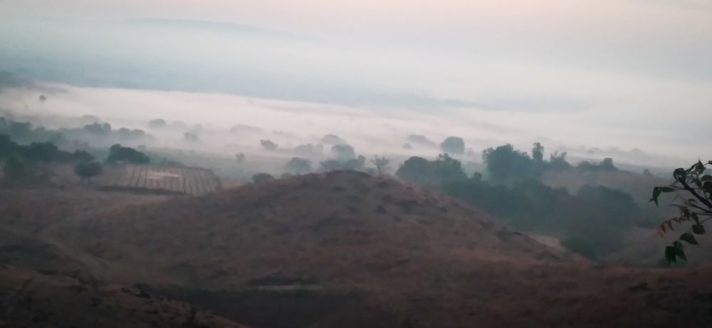 Photo #7455014