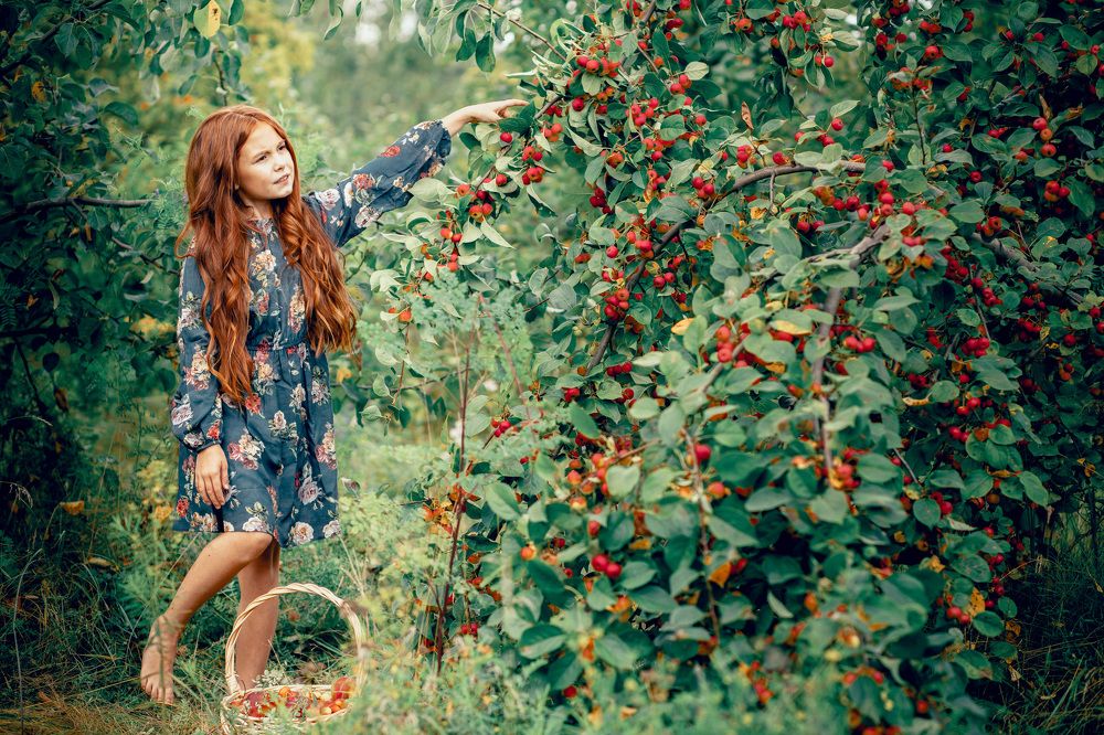 Фотография автора Александра Кириллова