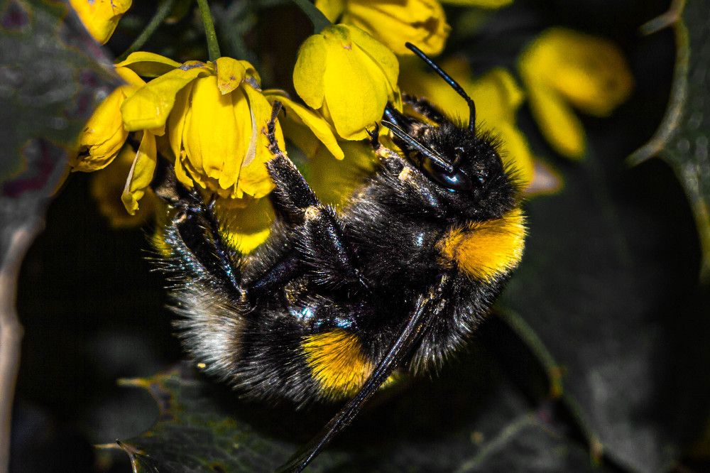 Photograph by Теодора Тодорова