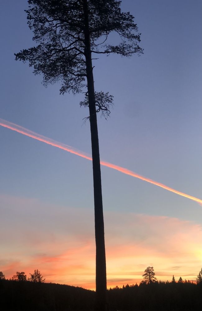 Карельский закат