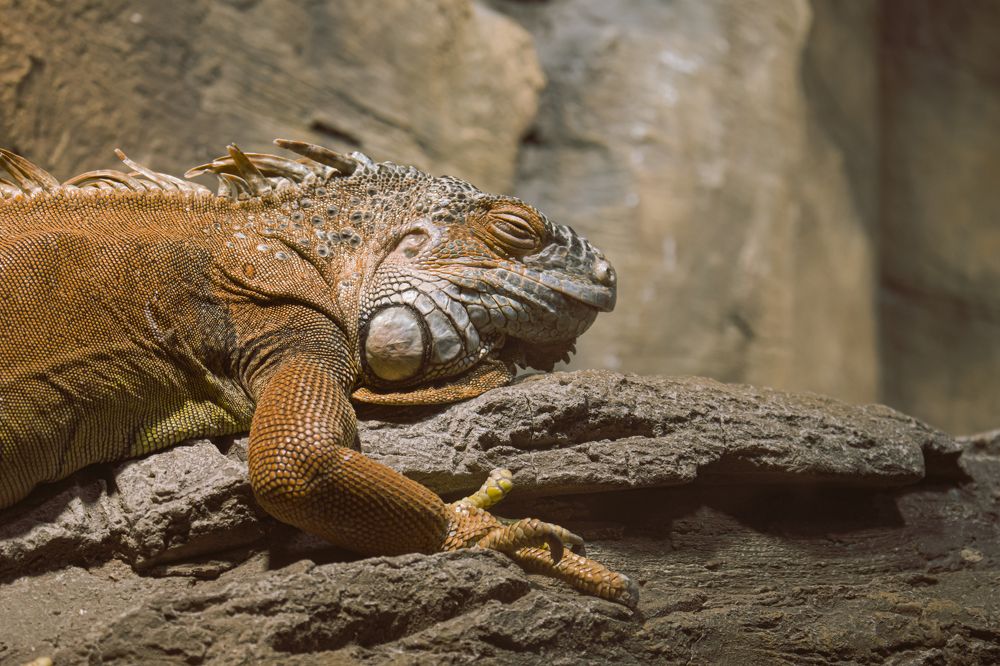 Photograph by Dale White