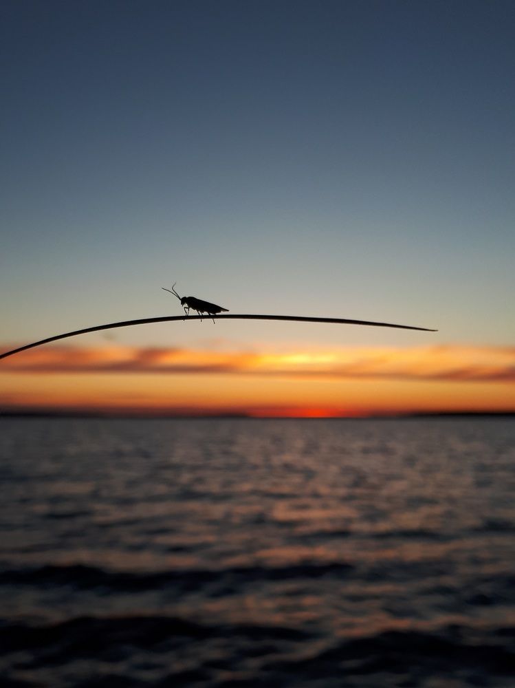 Photograph by Зоя