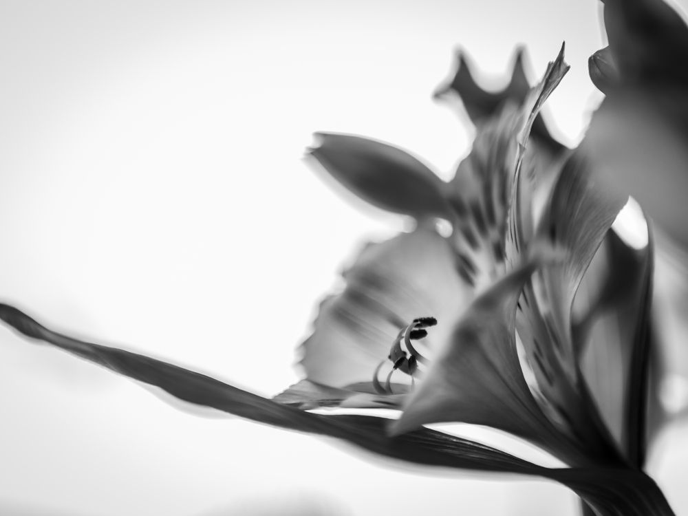 Photograph by Диана Качегина