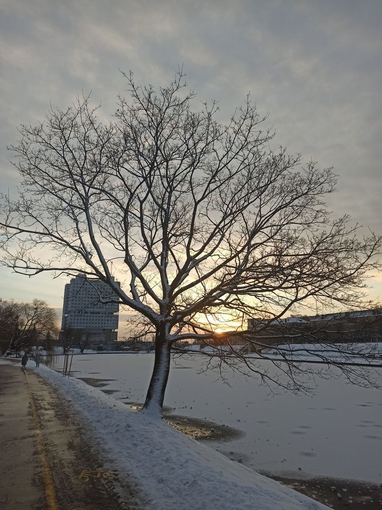 Photograph by Яна