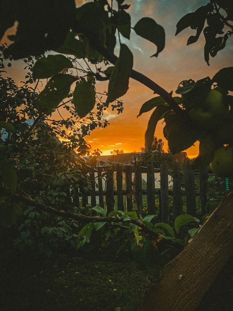 Photograph by Юлия Короткова