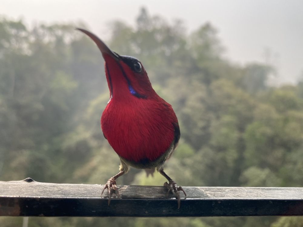 Photograph by Karma Tenzin