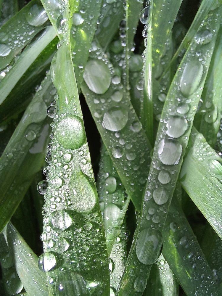 Photograph by Зоя