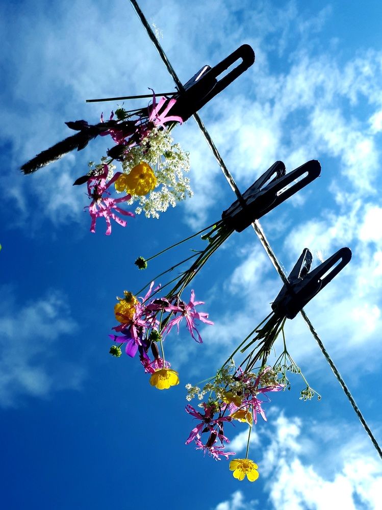 Photograph by Зоя