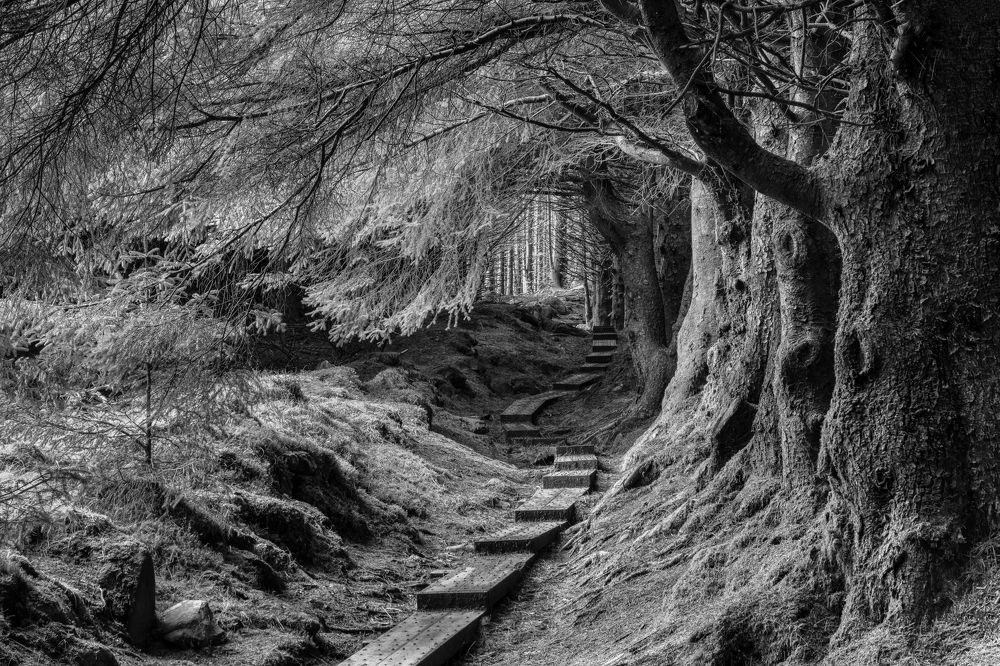 Photograph by Kevin Foley