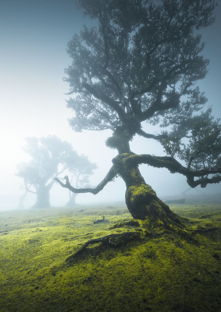 Photograph by Roksolyana Hilevych