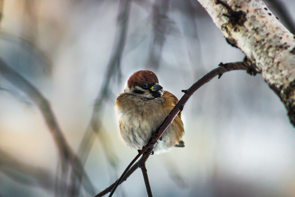 Photograph by Юрий