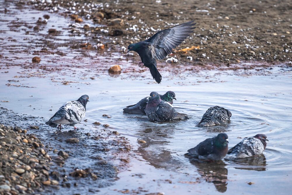 Photograph by Юрий