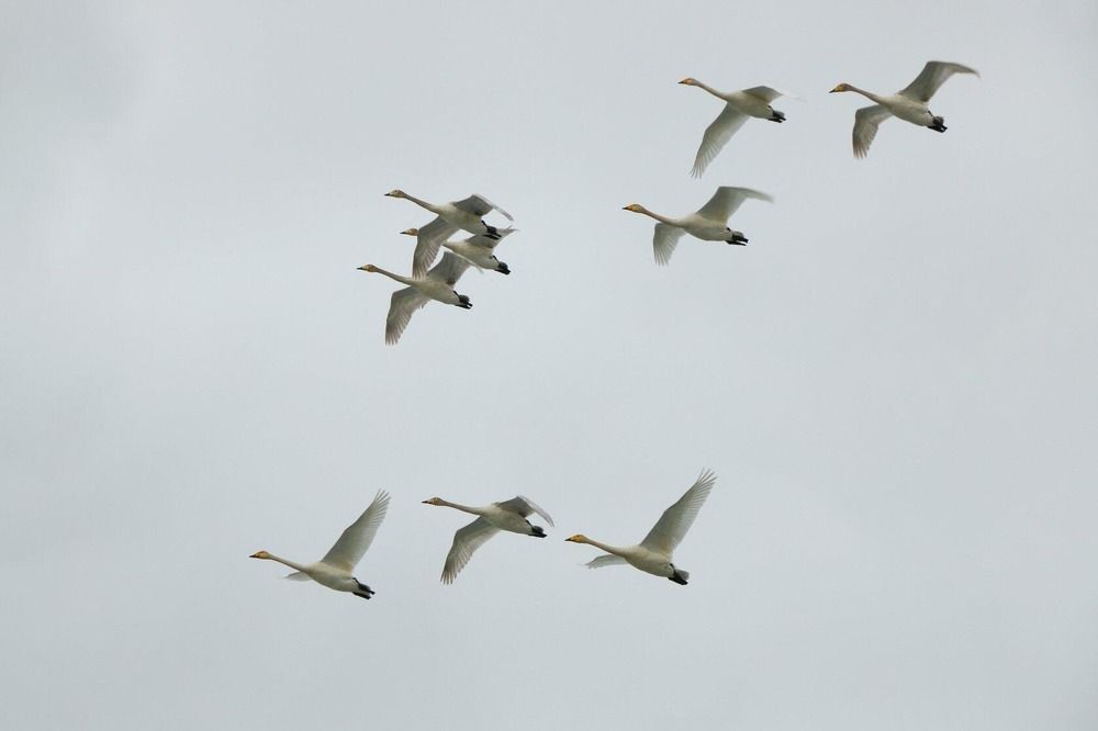 Photograph by Юрий Десятов