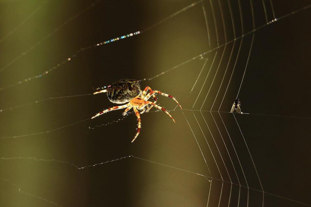 Photograph by Юрий Десятов