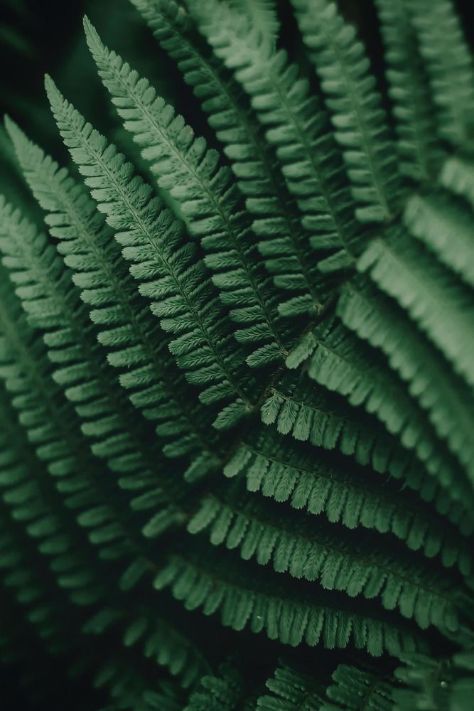 Photograph by Анна Бобкова