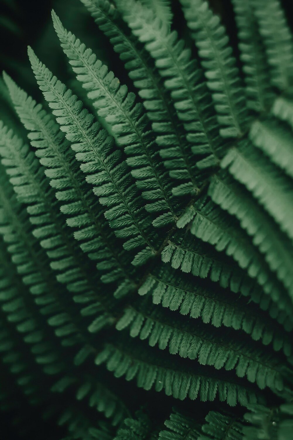 Photo #7456404