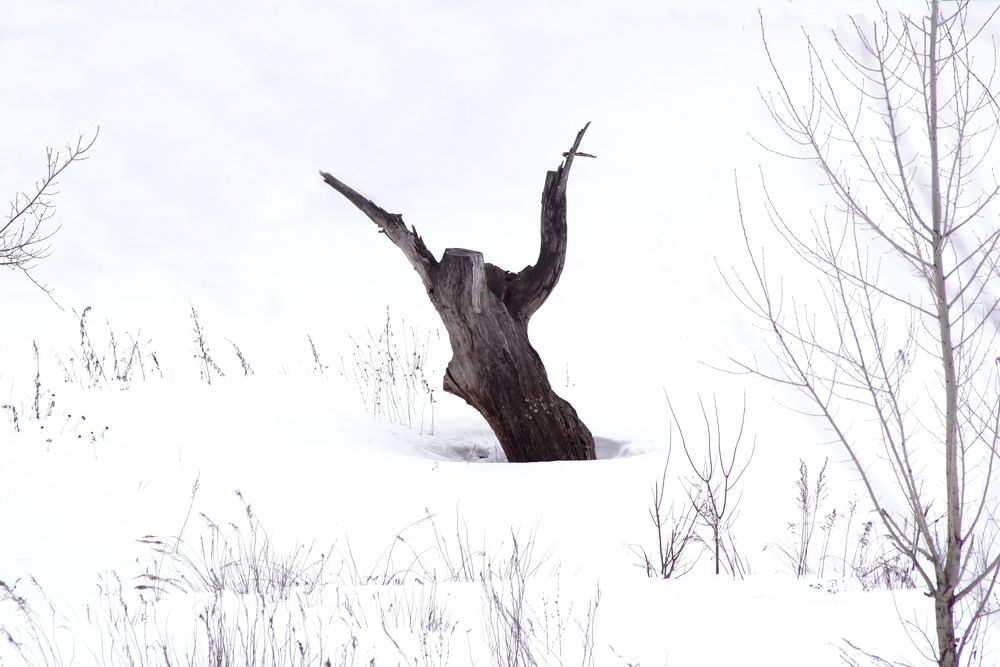 Photograph by Олег Машковский