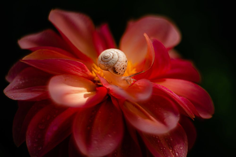 Photograph by Анна Бобкова