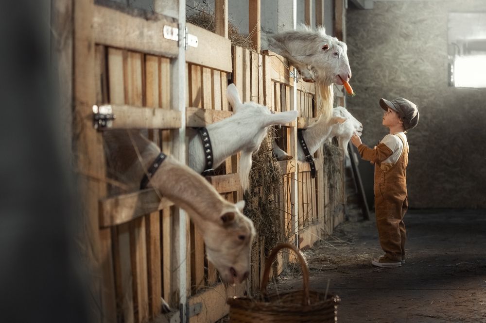 Угощайся, Афоня!