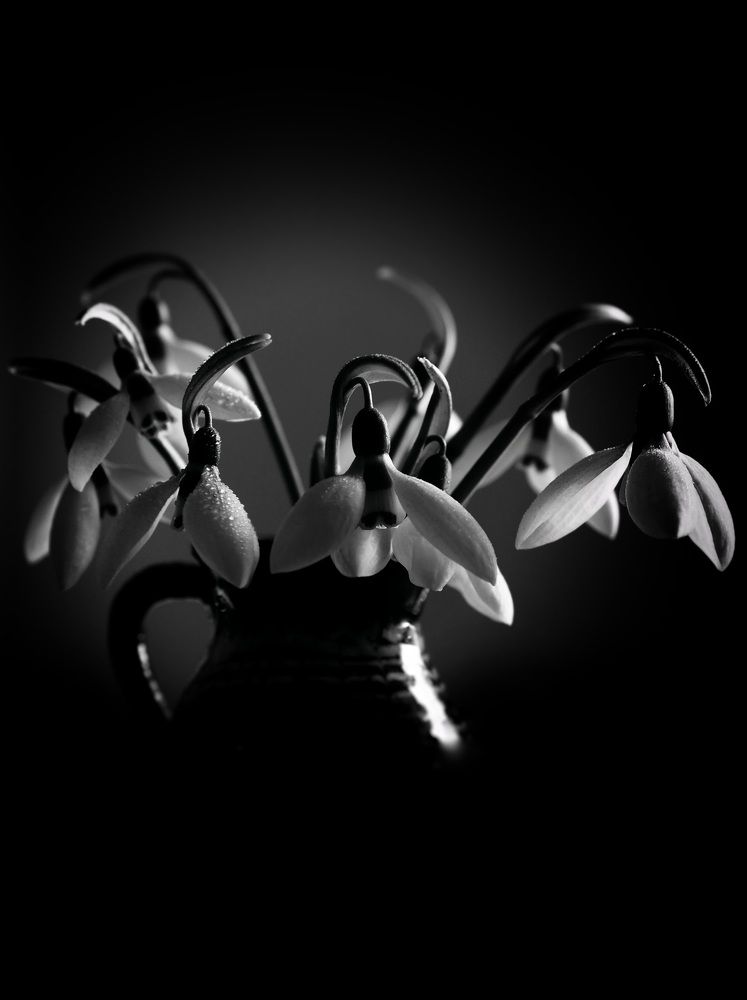 Photograph by Cornelia Ilie