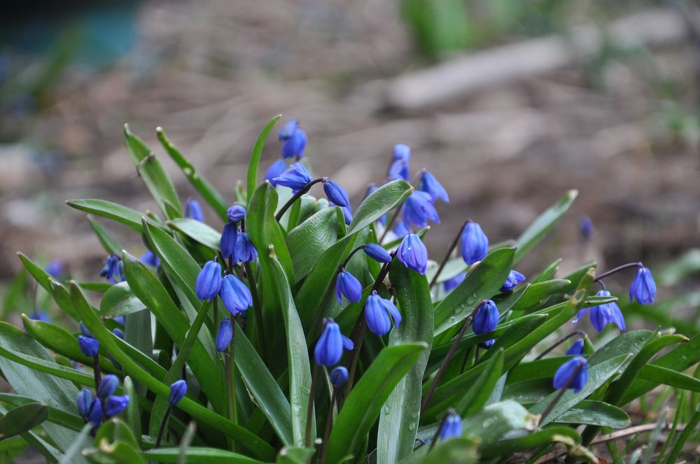Фотография автора Дузь Виталий