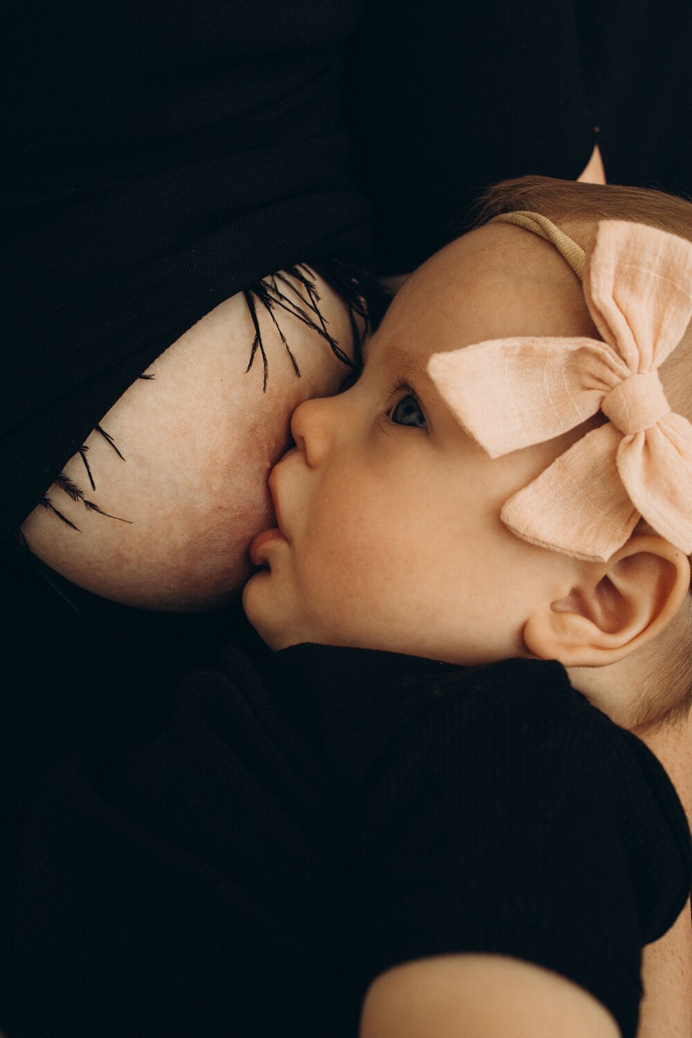 Photo #7457135