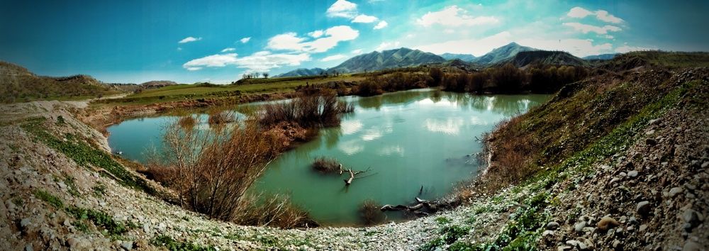 Photograph by Mustafa yuoseef