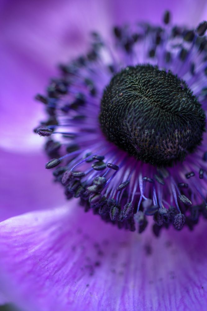 Photograph by Alena Rybakova