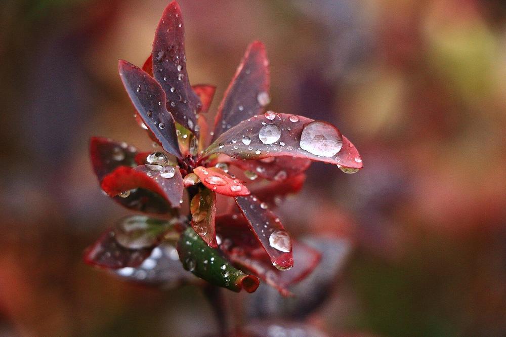 Photograph by Юрий Десятов