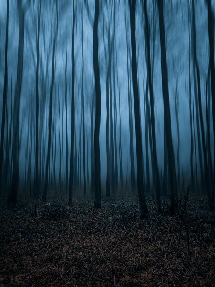 Photograph by Denis Romanov