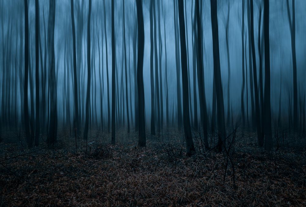 Photograph by Denis Romanov