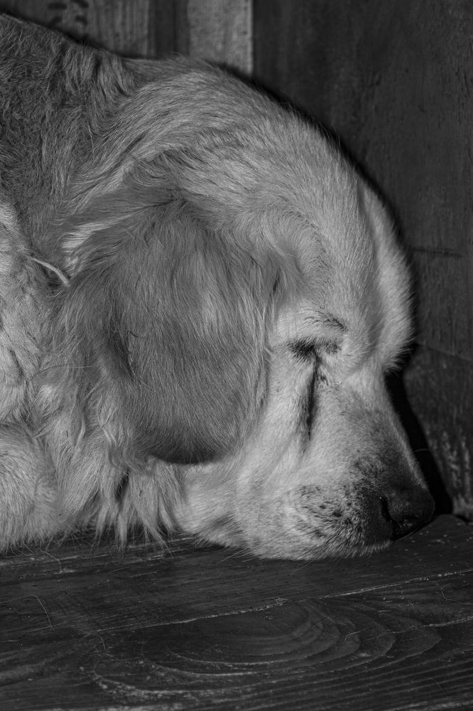 Photograph by Adi Truhcheva