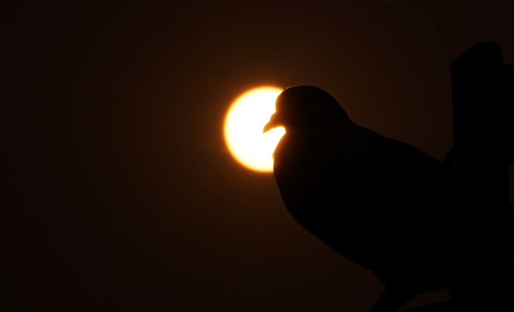 Photograph by Prabhu Viswanathan