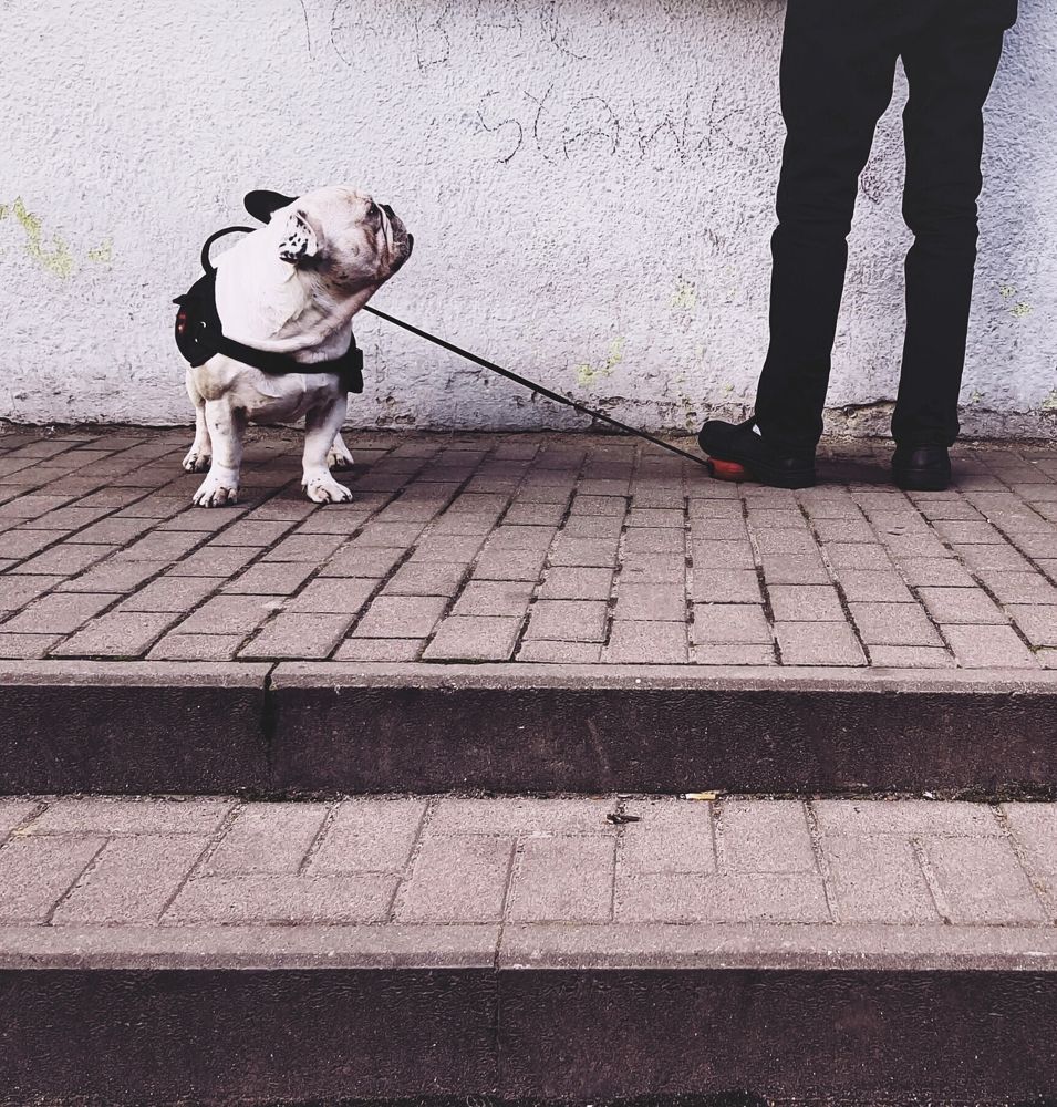 Photograph by Krzysztof Trojanowski