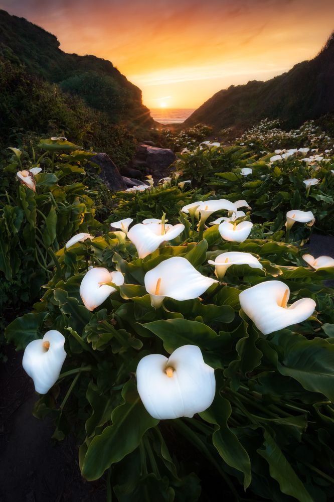 Photograph by Marcin Zajac