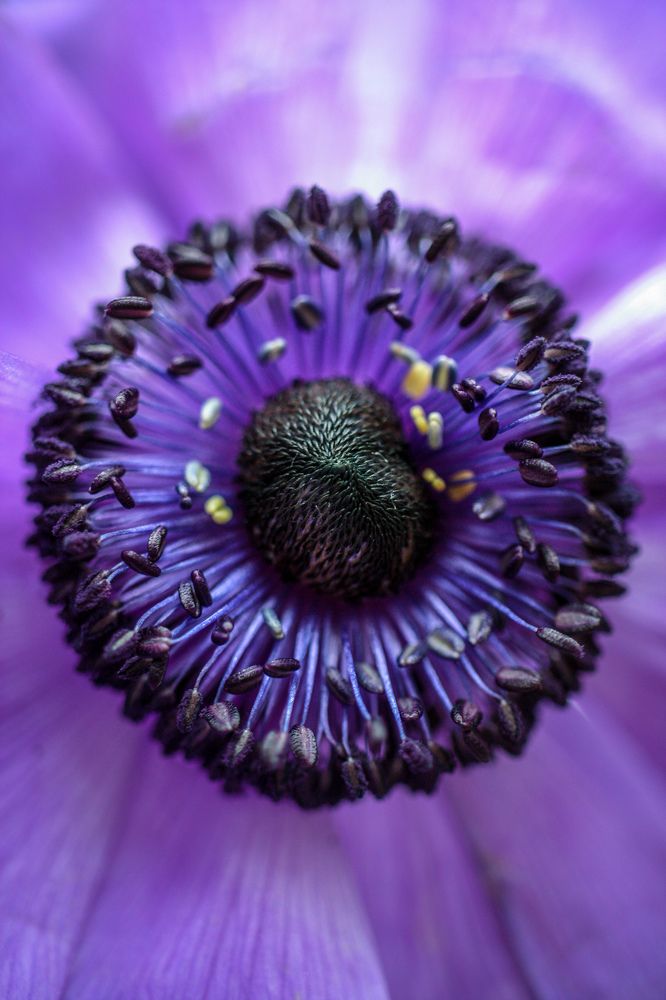 Photograph by Alena Rybakova