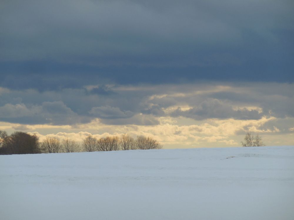 Photograph by Светлана Батурова